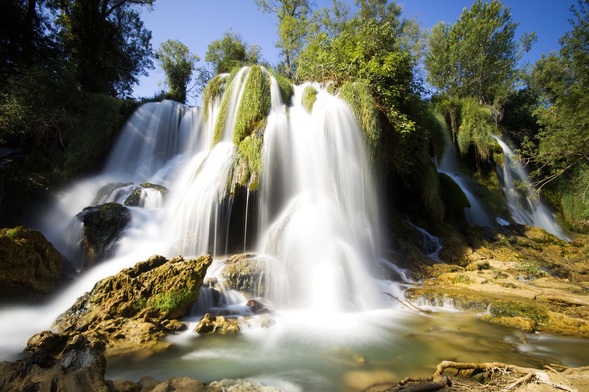 waterfall tree stone