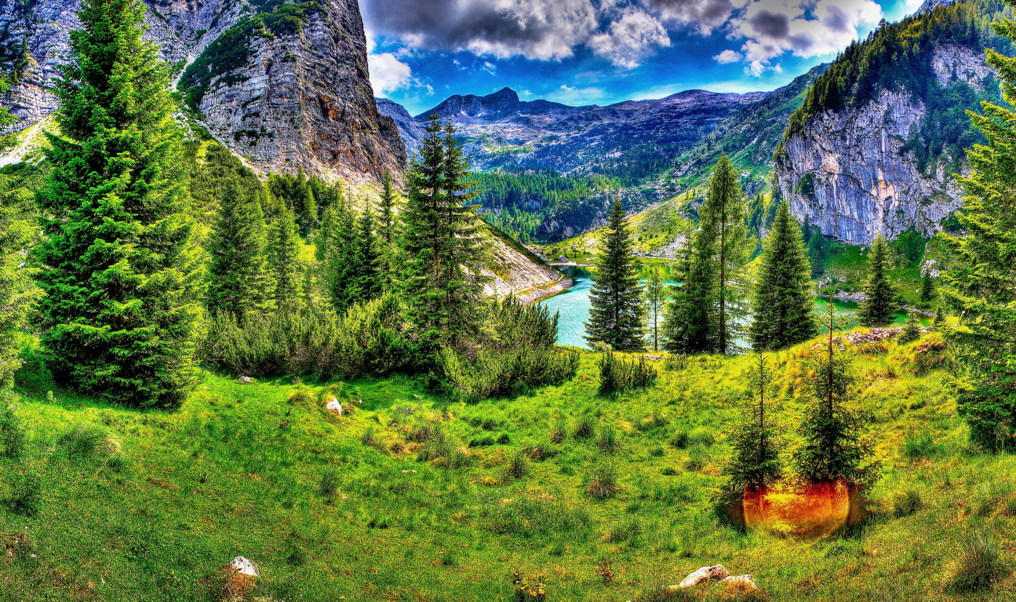 lovenia kobarid hdr mountain spruce green paint