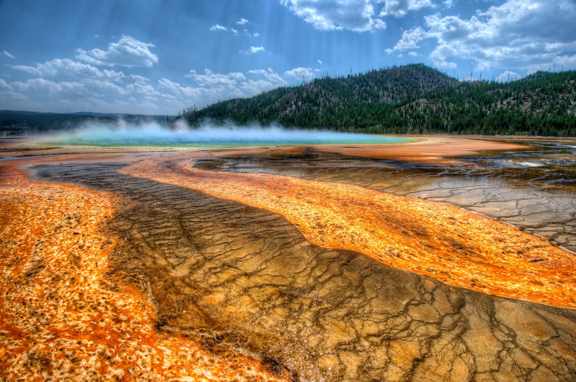 estados unidos parques yellowstone parque yellowstone montañas árboles