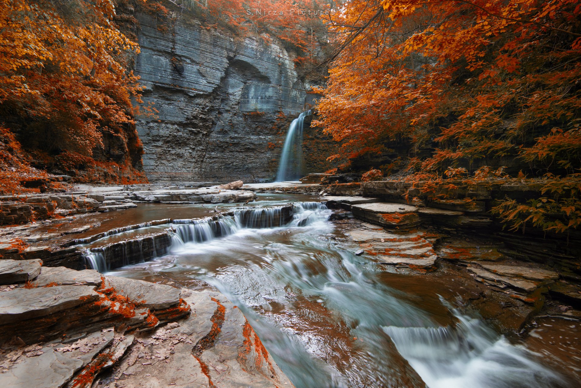 river waterfall forest tree autumn rock
