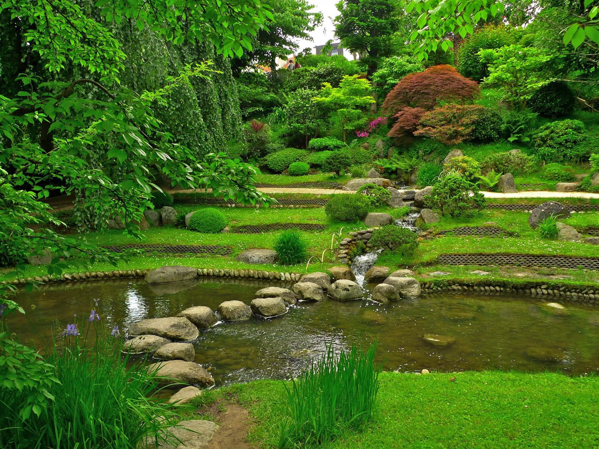 francia albert kahn giardini giapponesi giardino rocce stagno erba vegetazione alberi cespugli rami.fogli