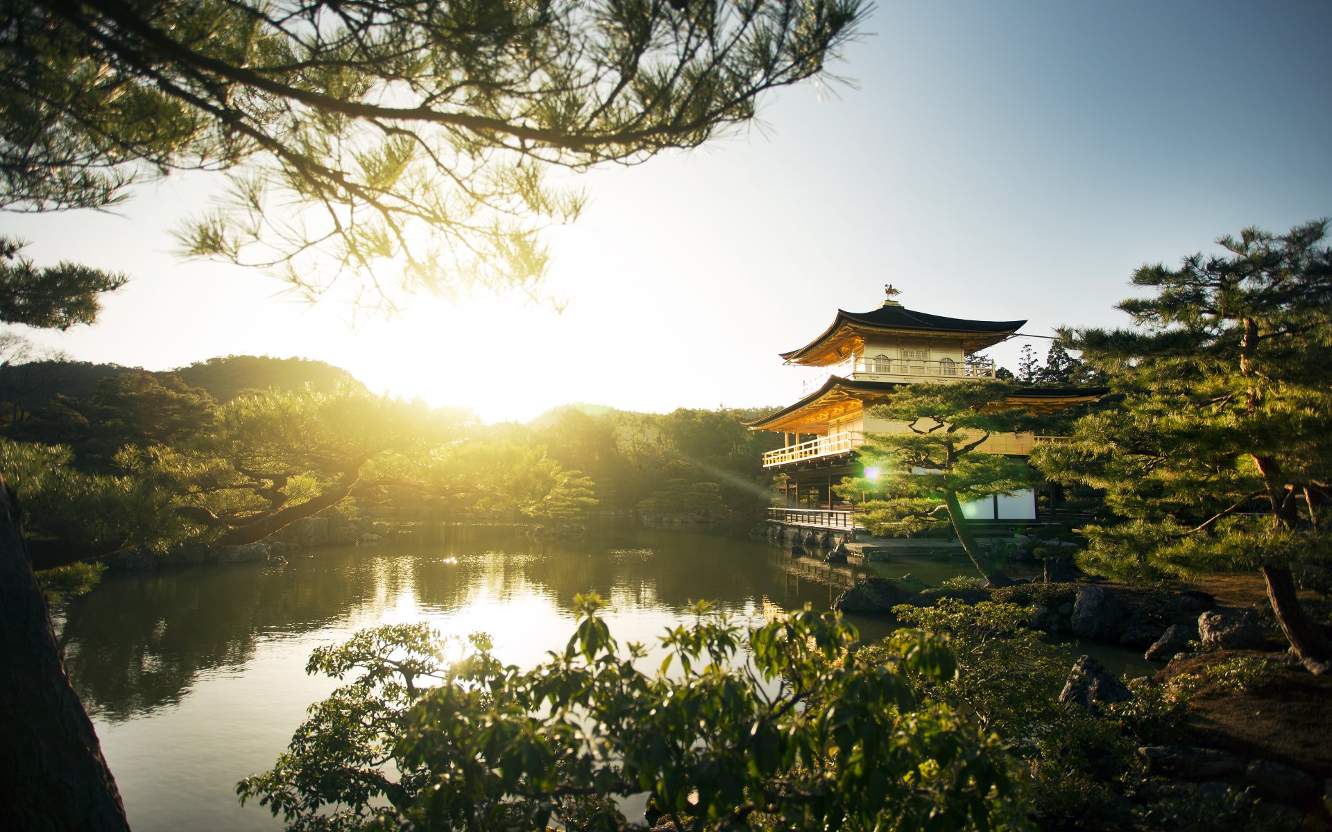 kyoto the kinkakuji lake house gold palace architecture tree