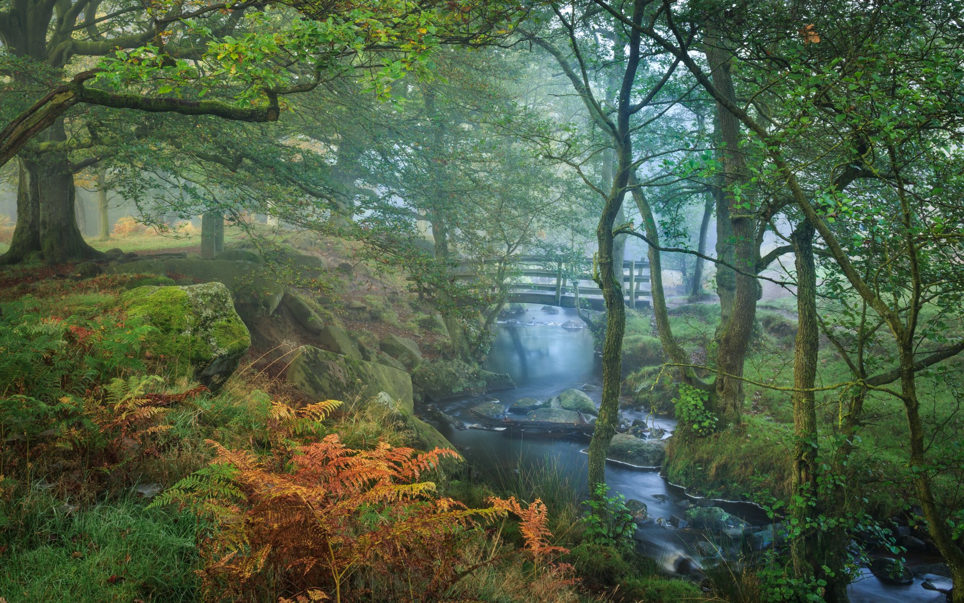 parc automne nature