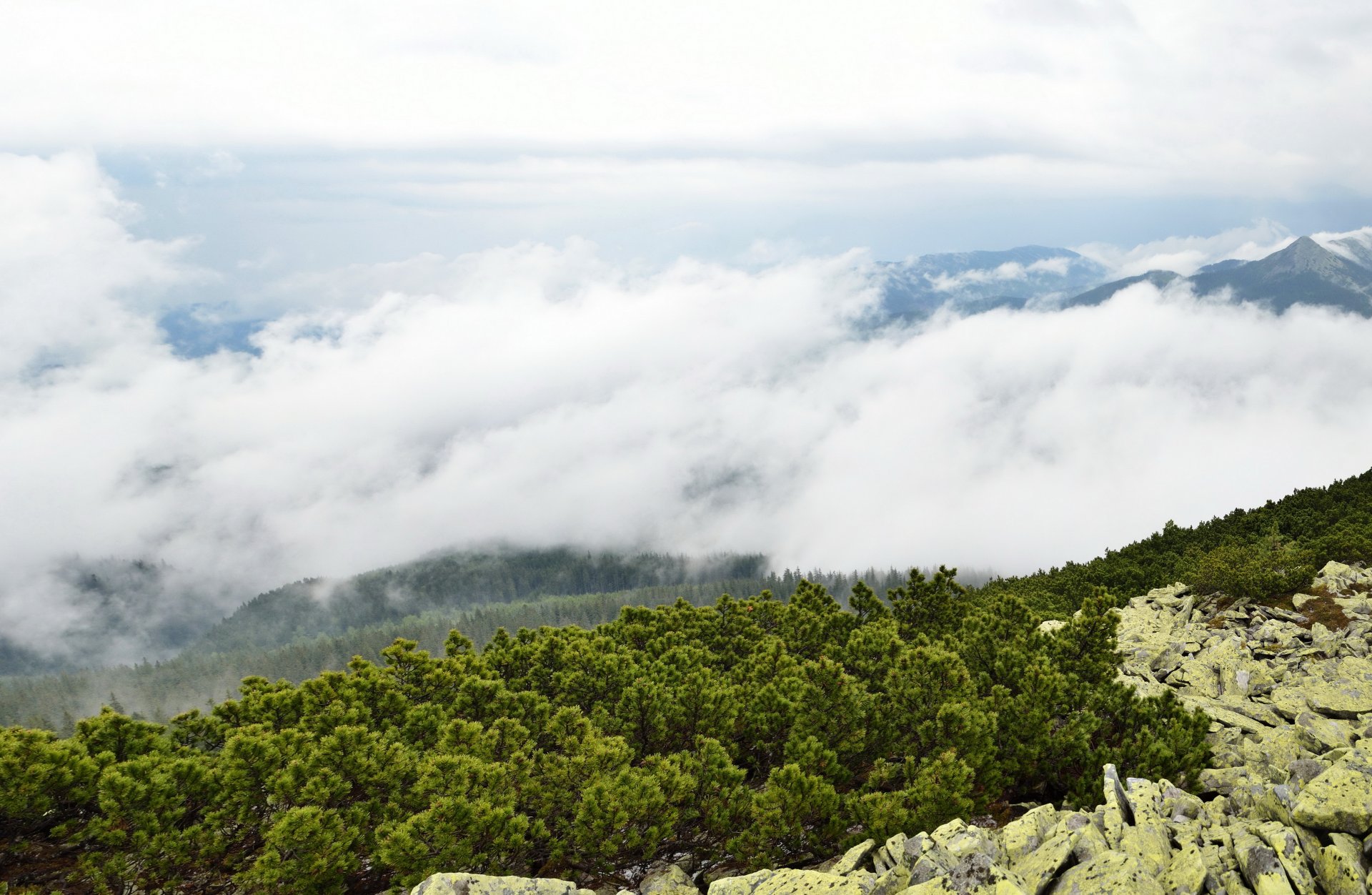 paesaggio ucraina transcarpazia nuvole montagne macchia pietre natura