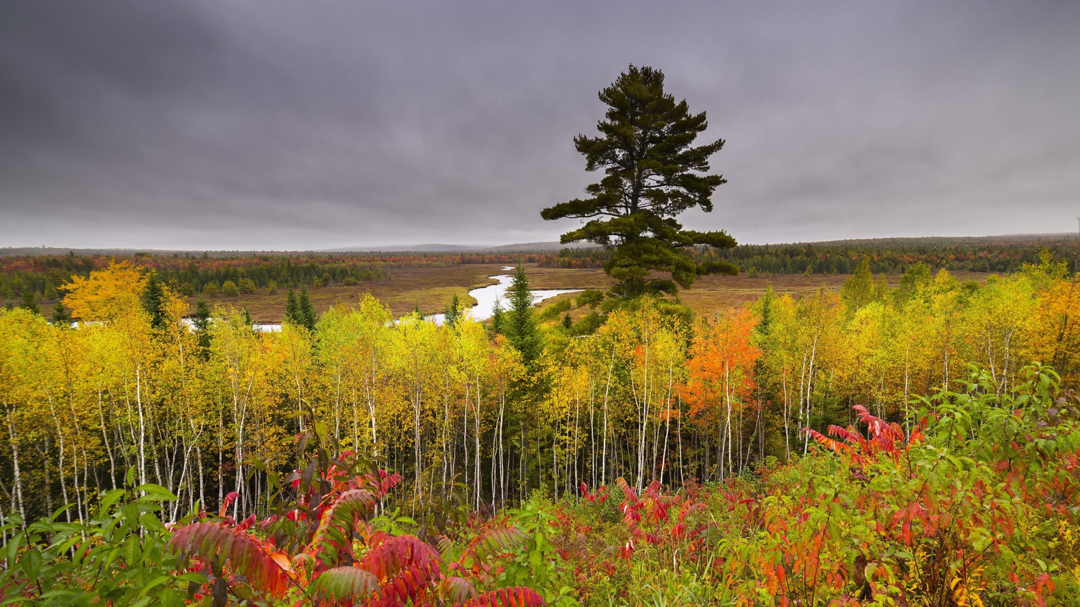nature rivière automne forêt bouleaux joliment collines ciel nuageux