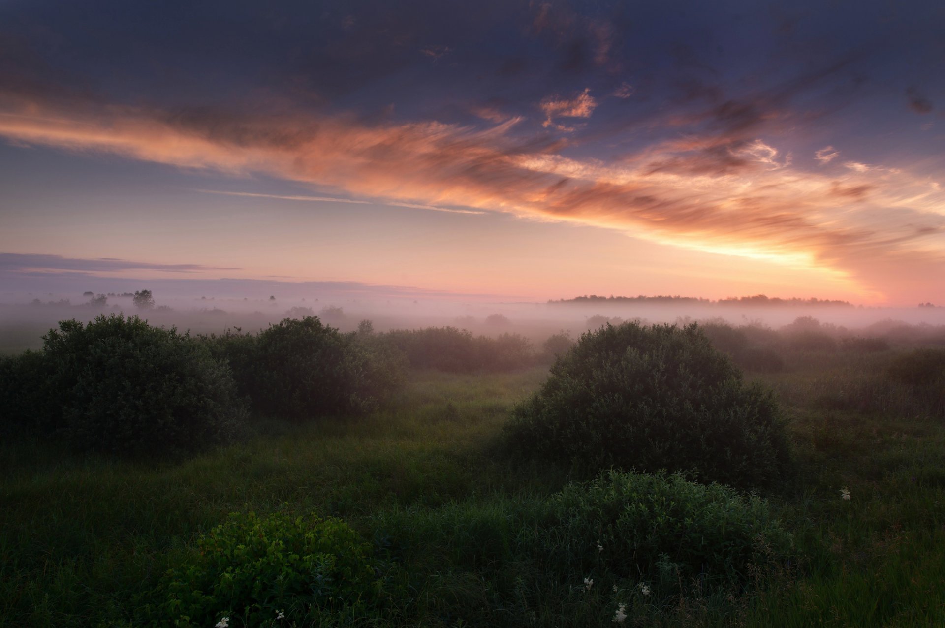 russland sommer juli morgen nebel himmel wolken licht gras büsche