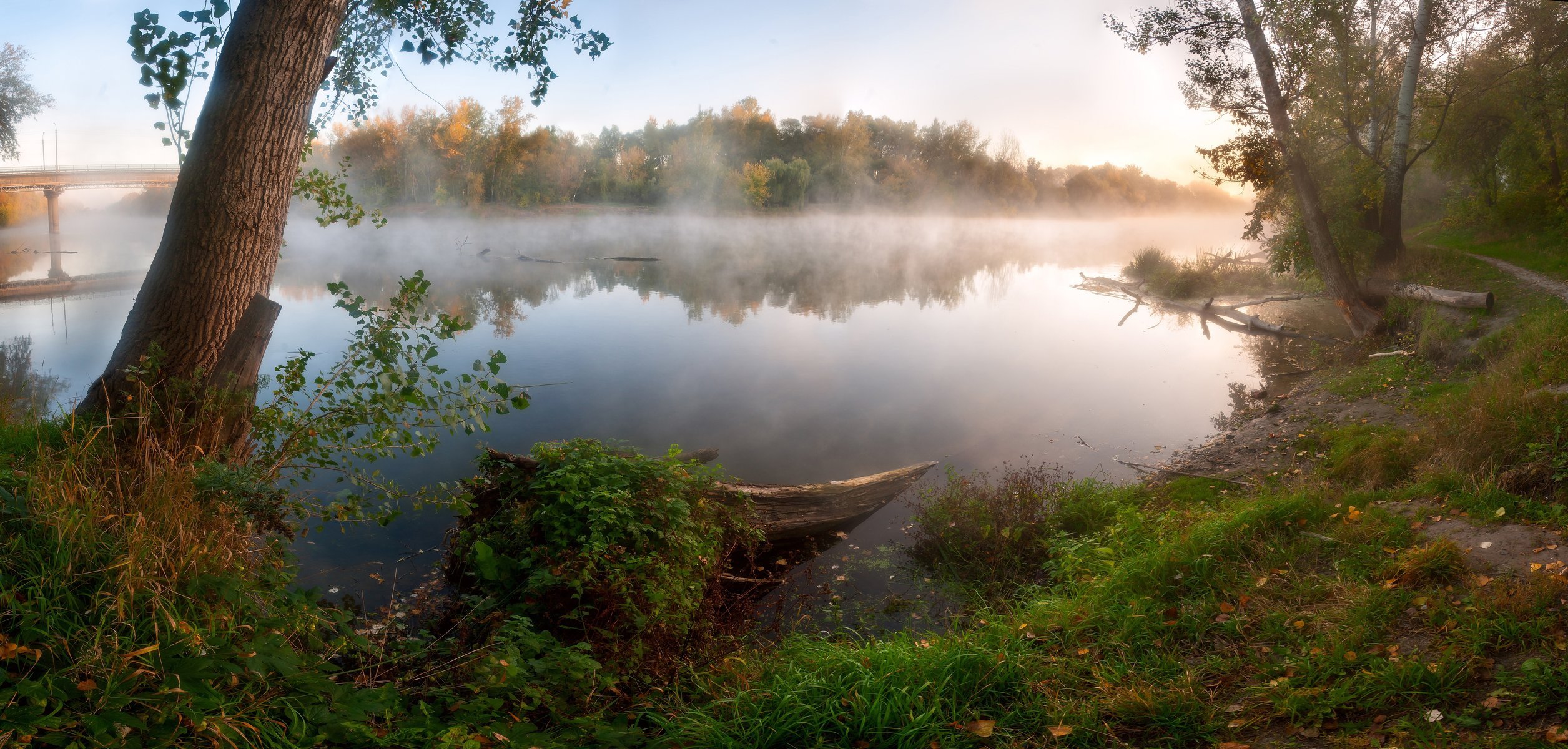 lago niebla árboles camino puente