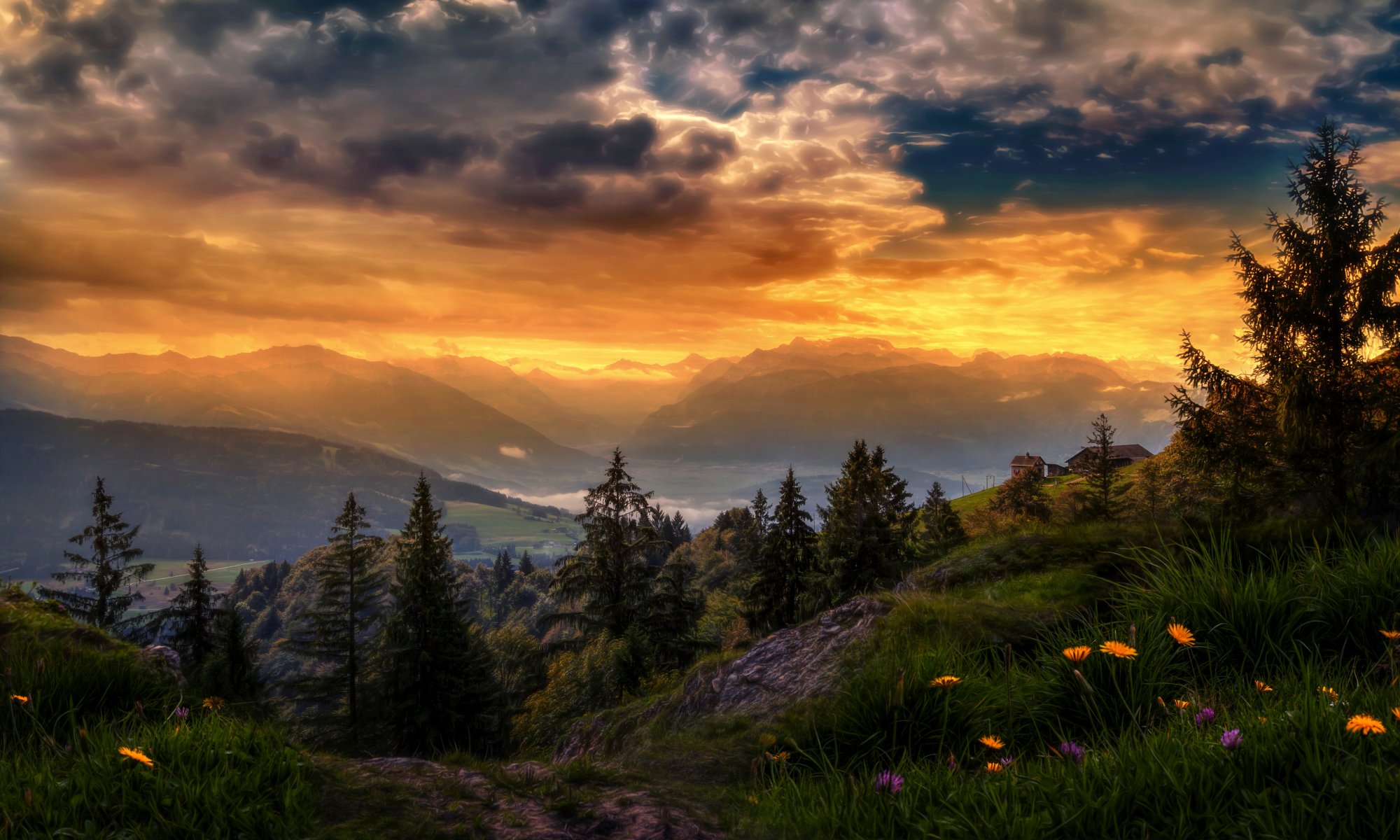 suisse ciel nuages montagnes arbres fleurs traitement