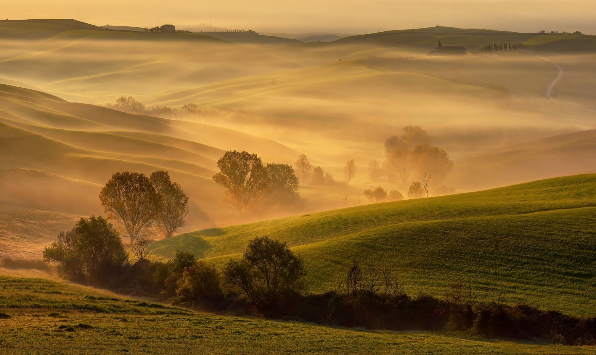 italie toscane printemps avril matin lumière dorée