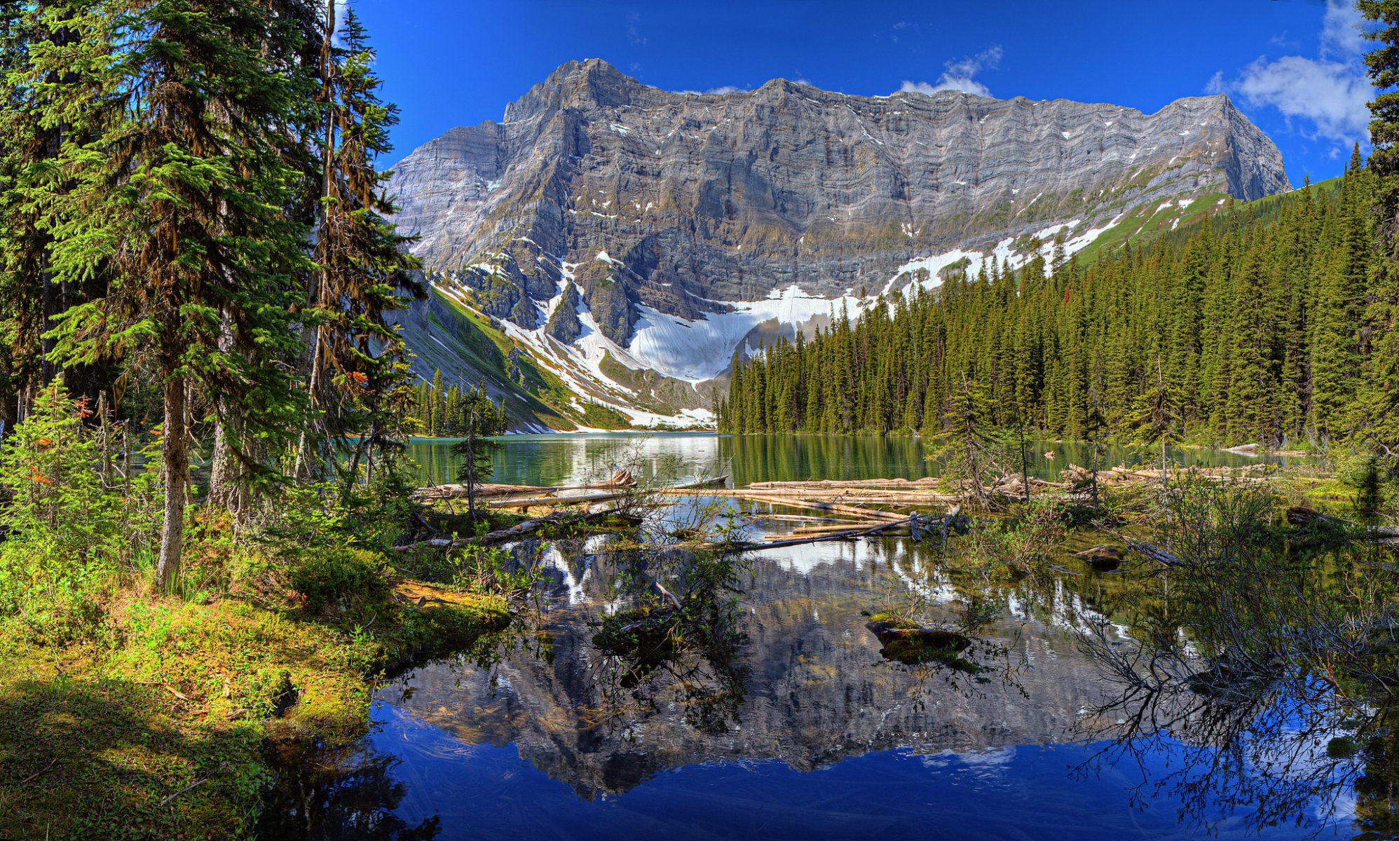 cielo montagne neve alberi lago