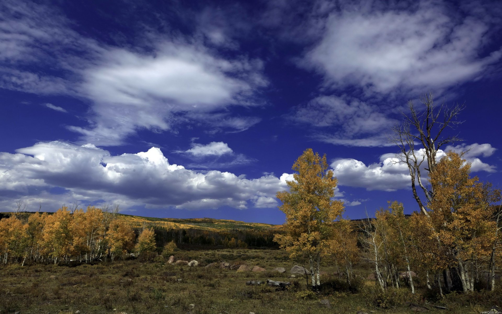 ciel nuages arbres automne bouleau forêt pierres paysage