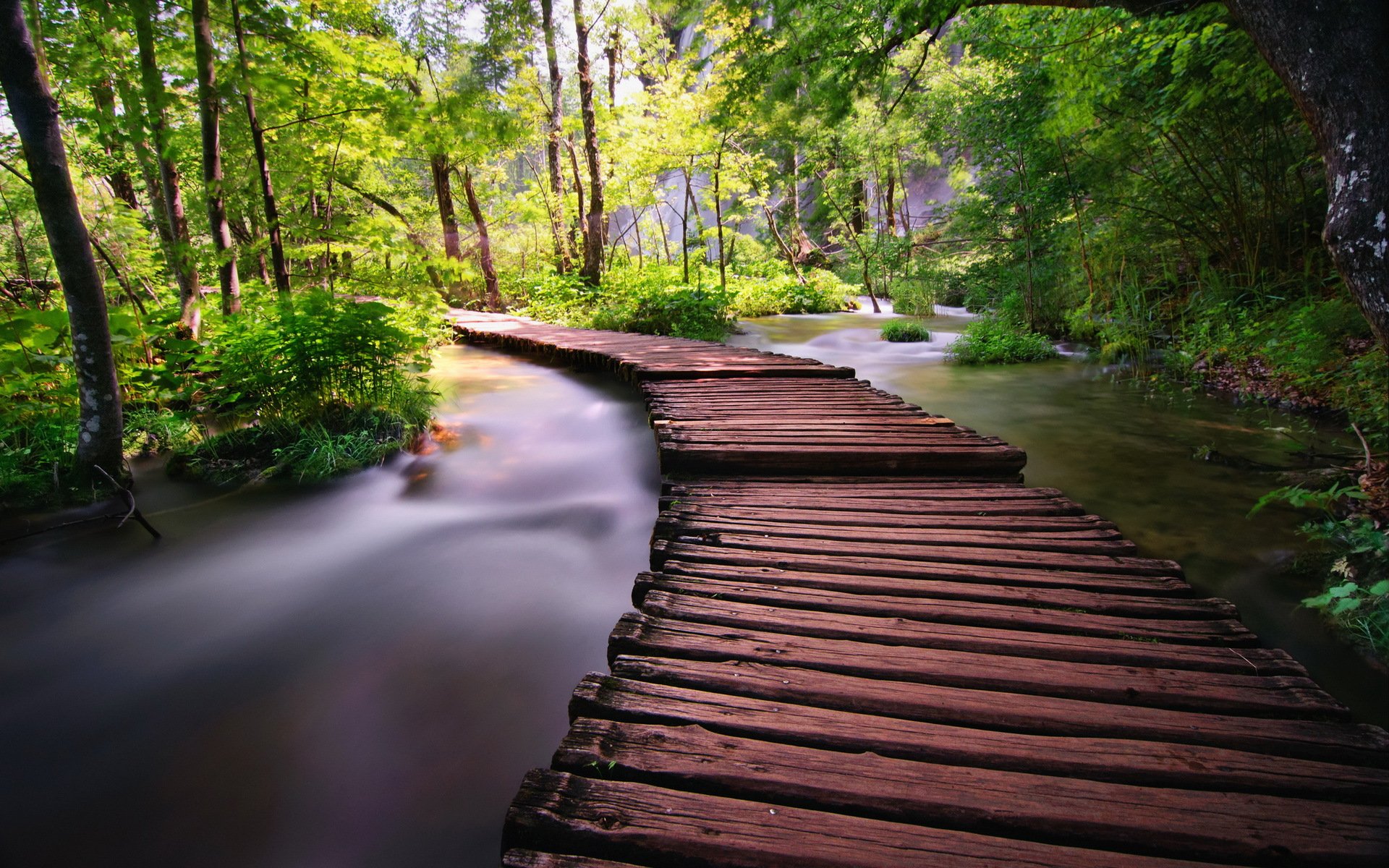 fluss brücke natur