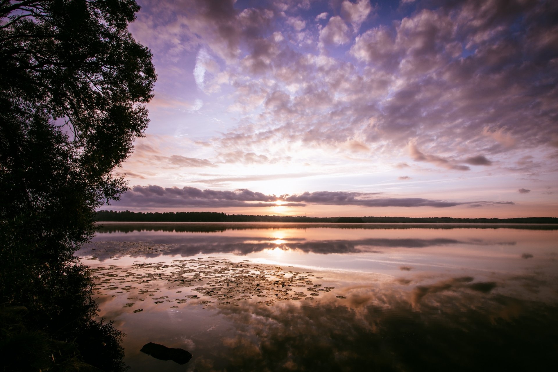 forêt lac matin aube réflexion