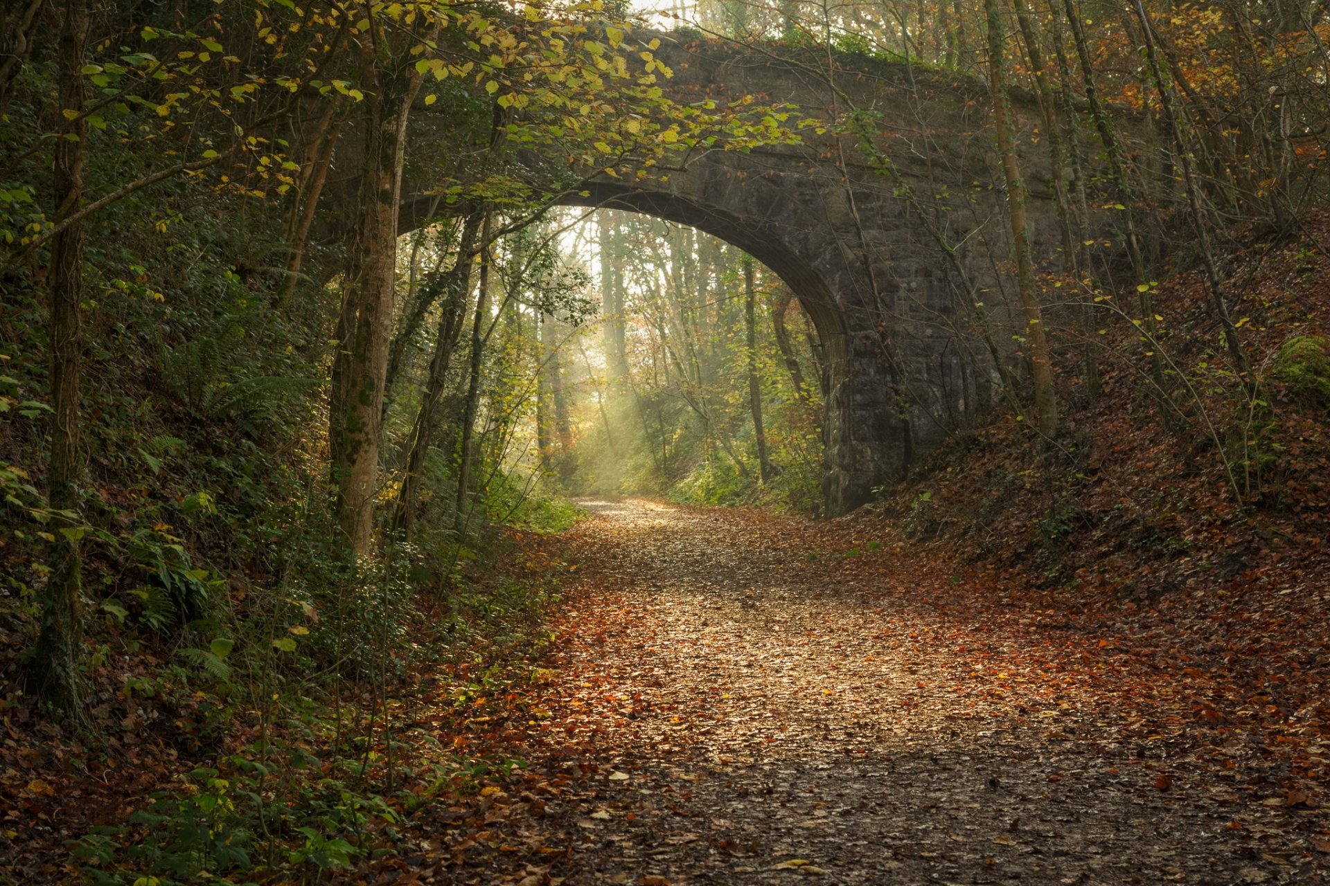 park straße bogen eisenbahnbrücke herbst
