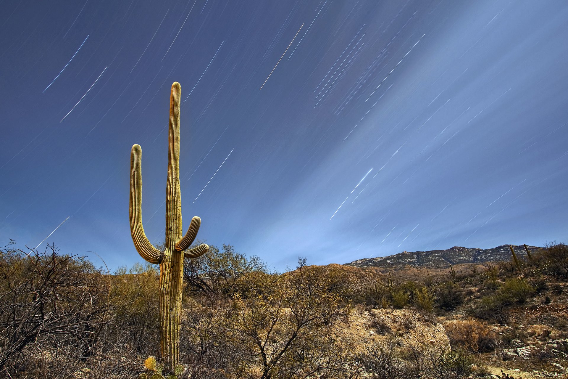tucson arizona usa niebo noc gwiazdy pustynia wzgórza kaktus