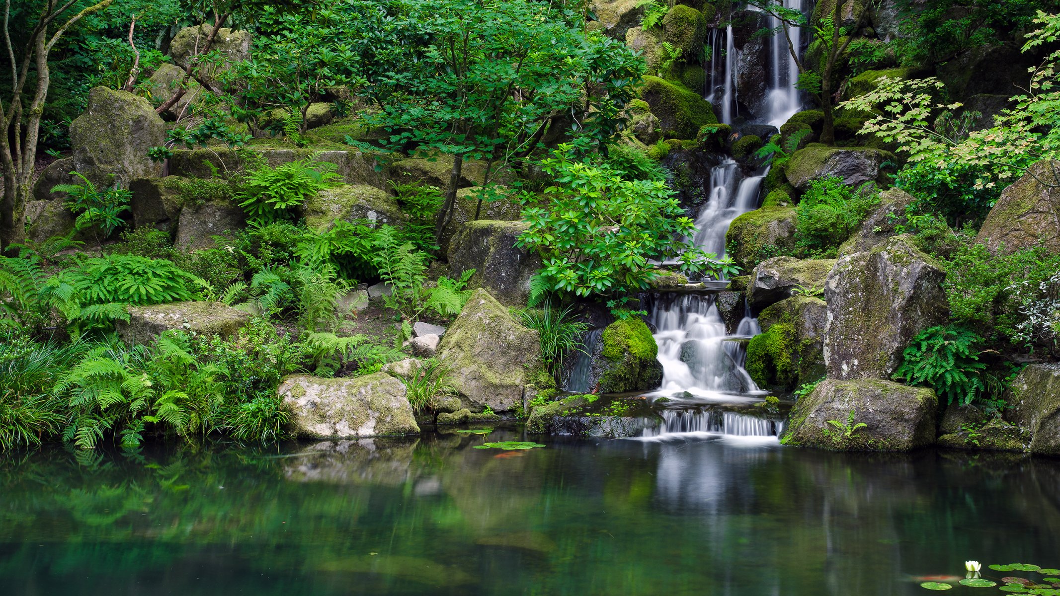 eau pierres verdure