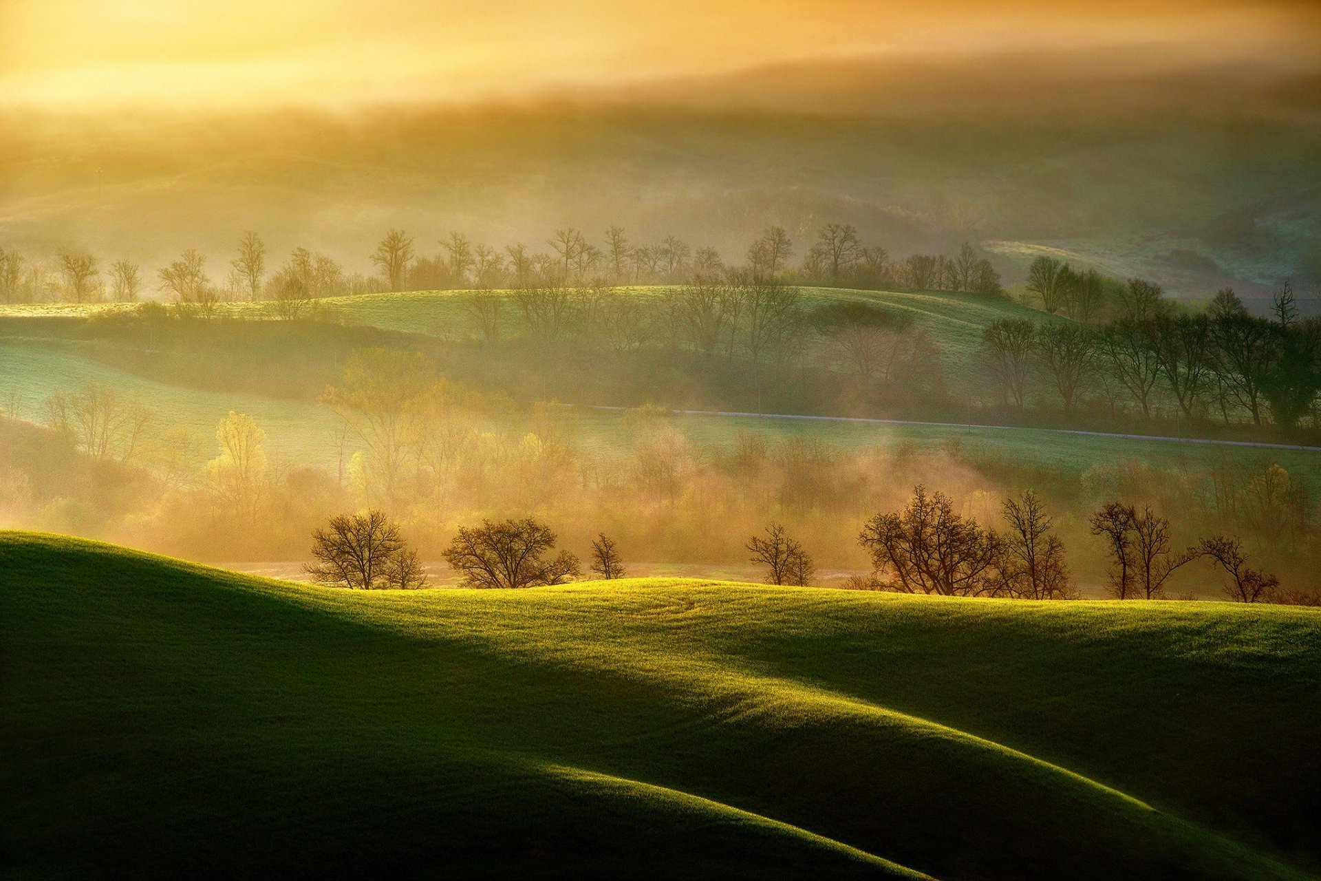 italie région toscane auchano champs matin vapeur lumière