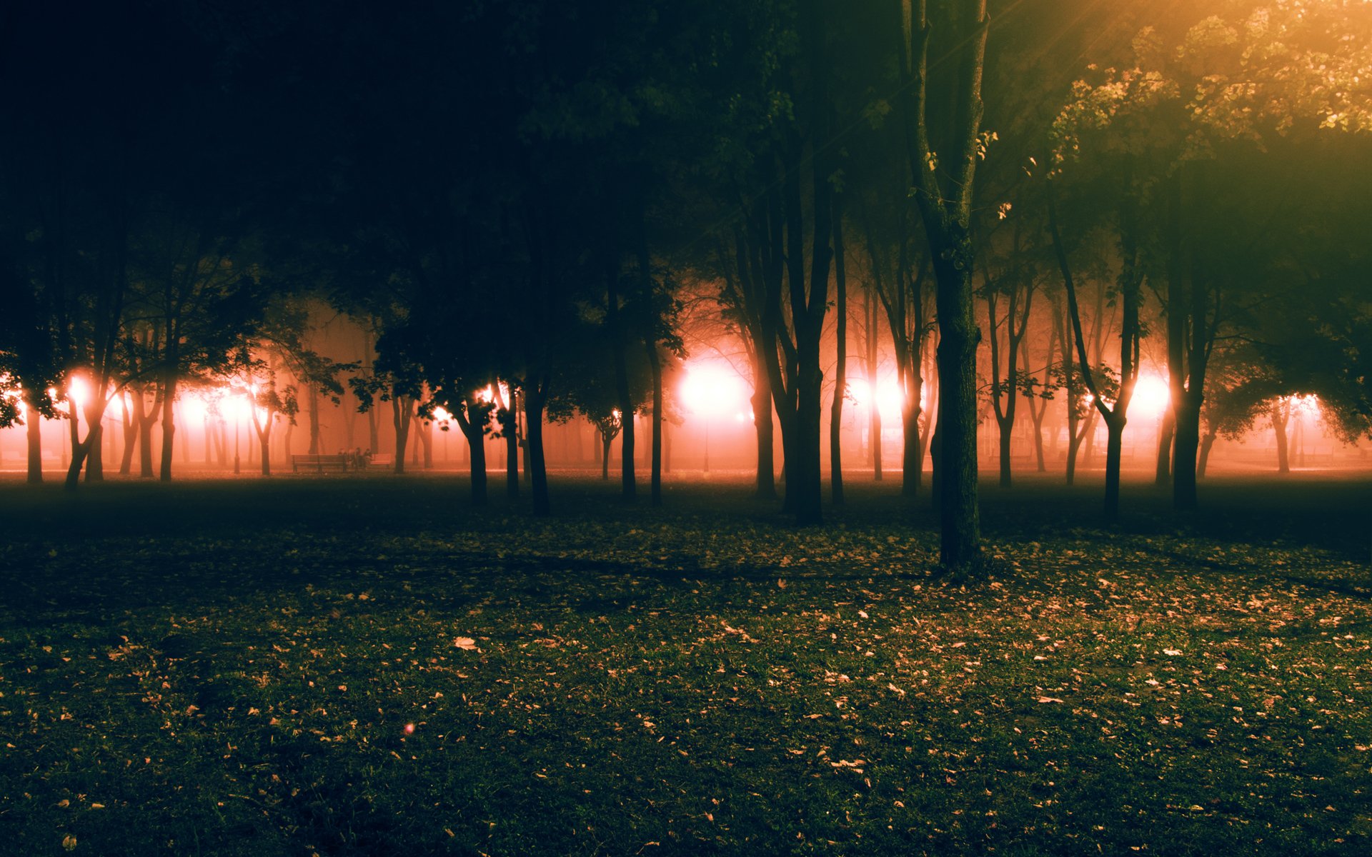 park fog autumn