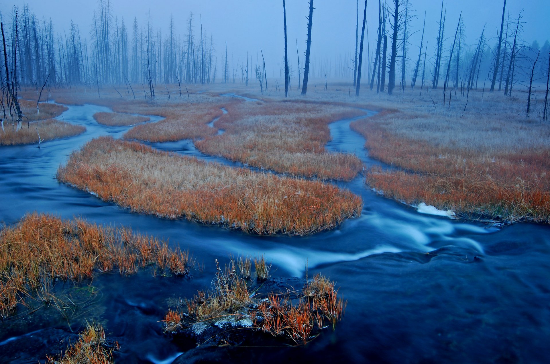 yellowstone wyoming usa wald sumpf gras nebel fluss