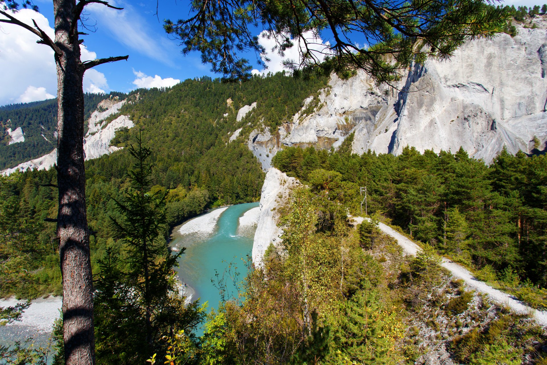 witzerland mountain alps river trees