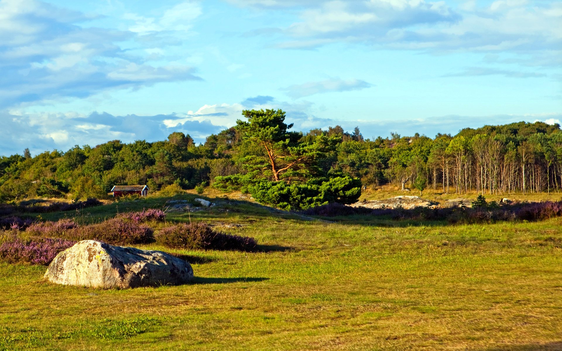 svezia västra götaland cielo foresta alberi campo erba pietra casetta