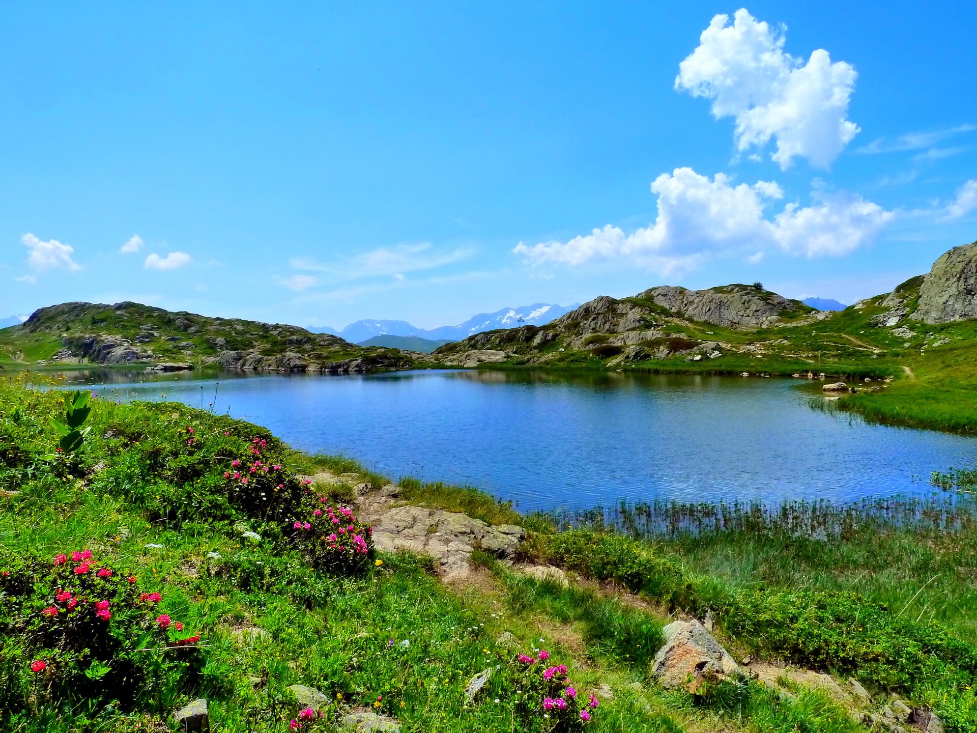 cielo montañas lago flores