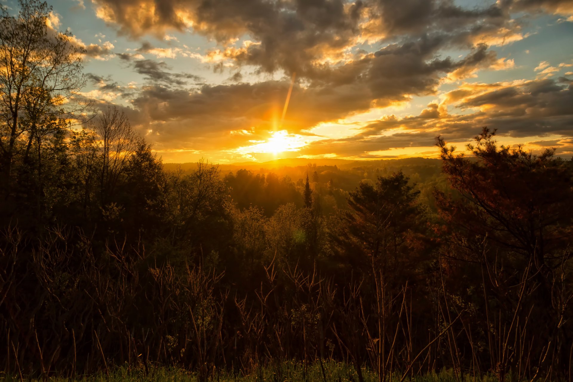 soleil arbres ciel nuages
