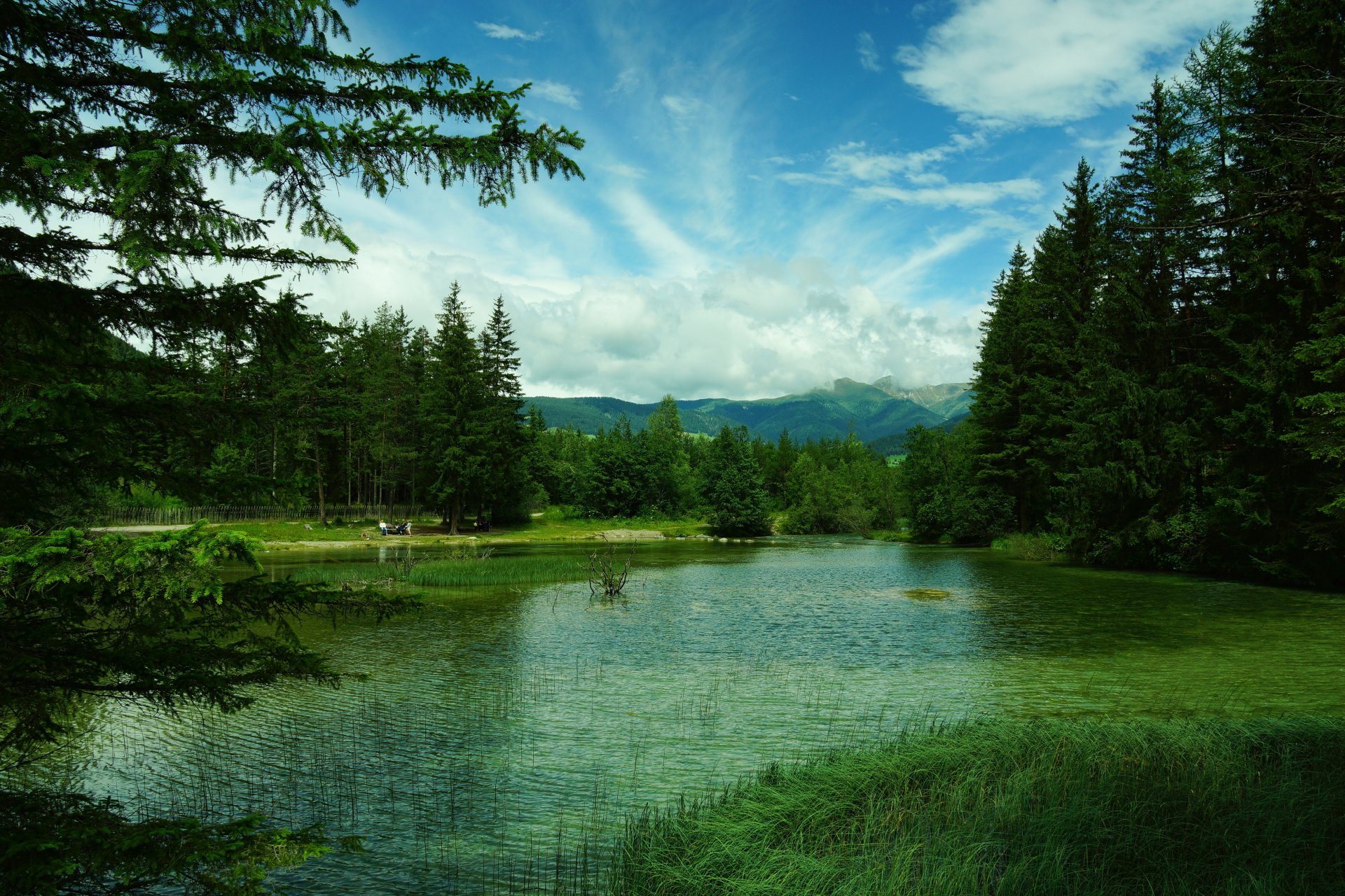 italien wald berge see toblach see bäume gras grüns