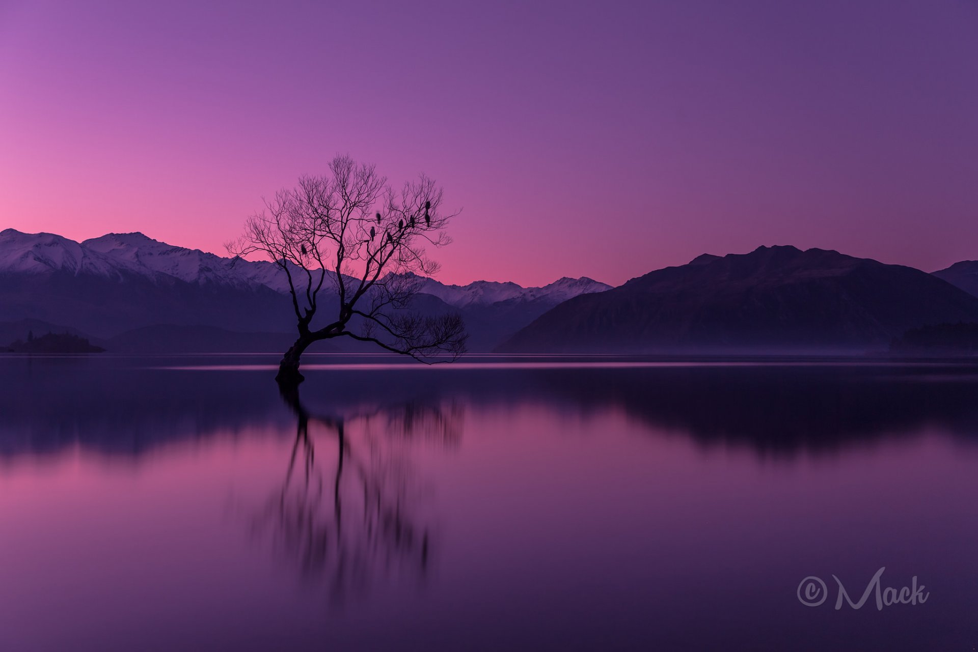 new zealand otago peninsula wanaka lake mountain tree night sunset sky reflection