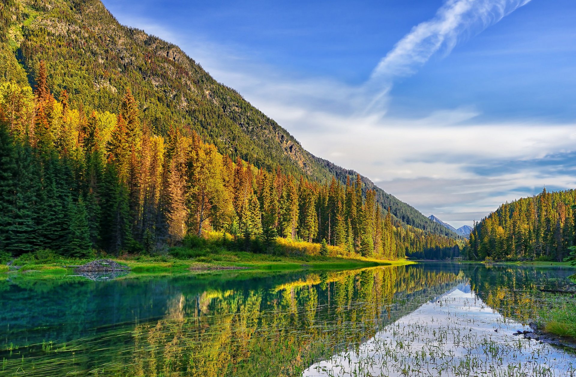 ciel montagnes forêt lac arbres été