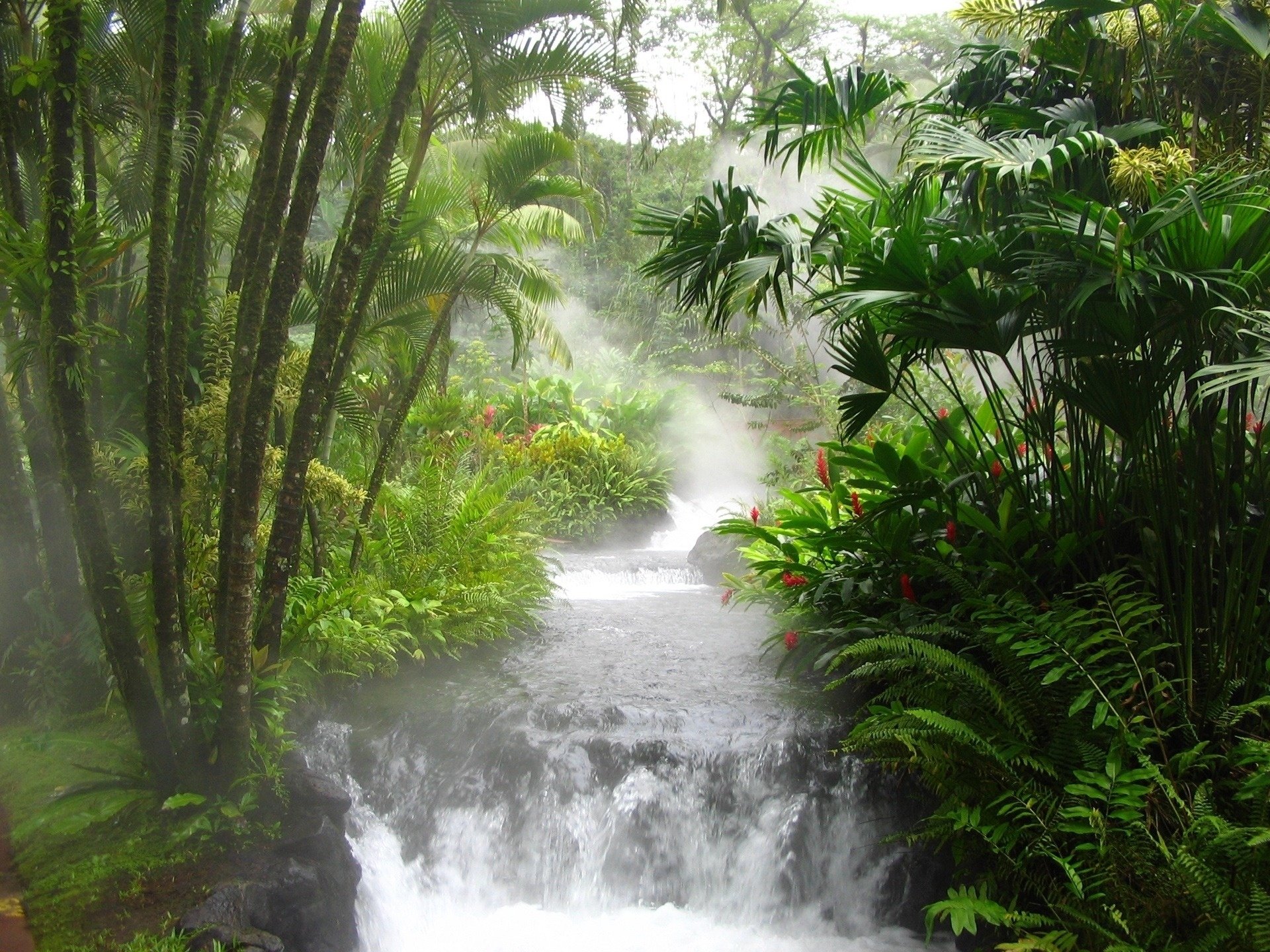 art paysage nature eau courant