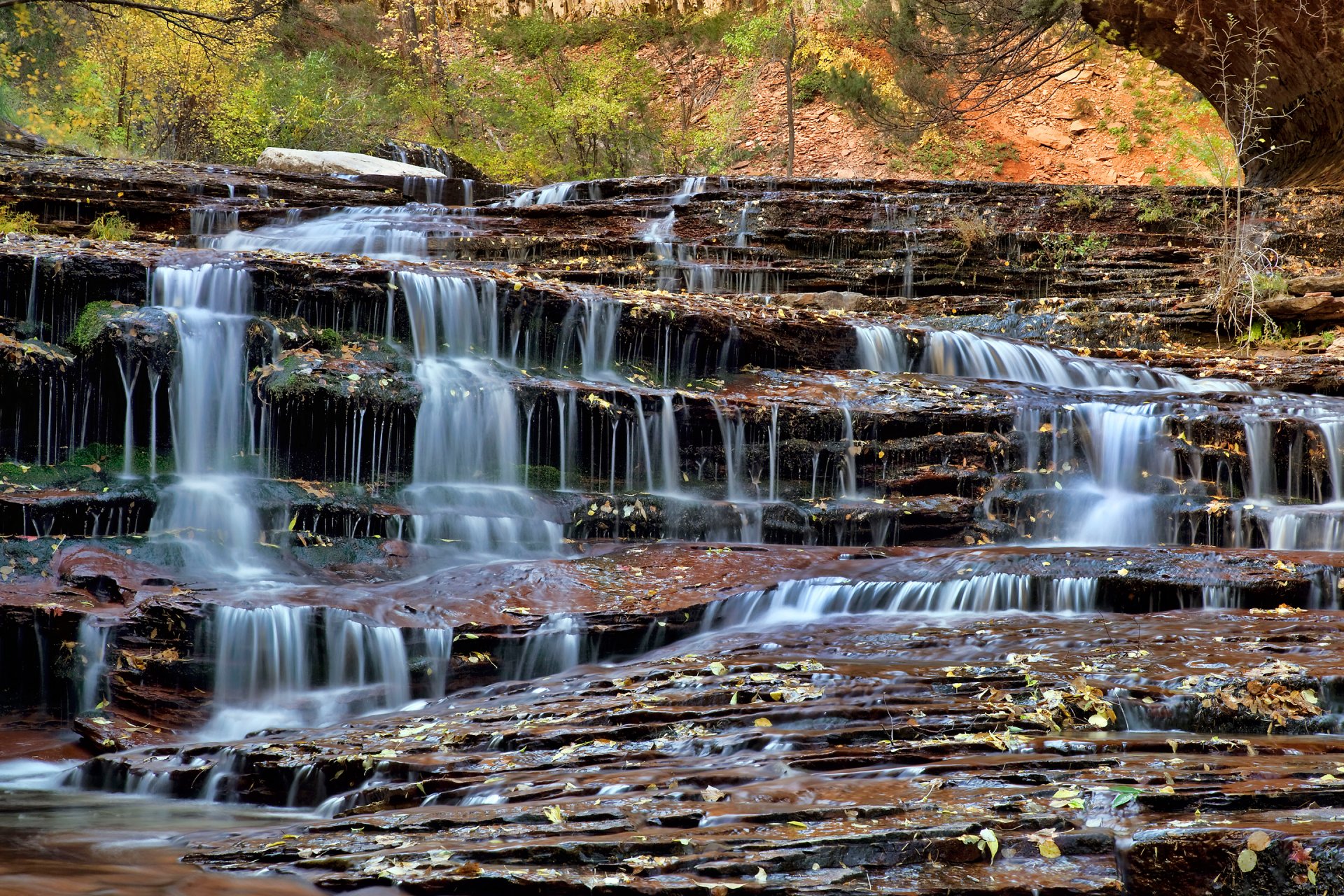 zion national park united states utah creek rock leaves waterfall