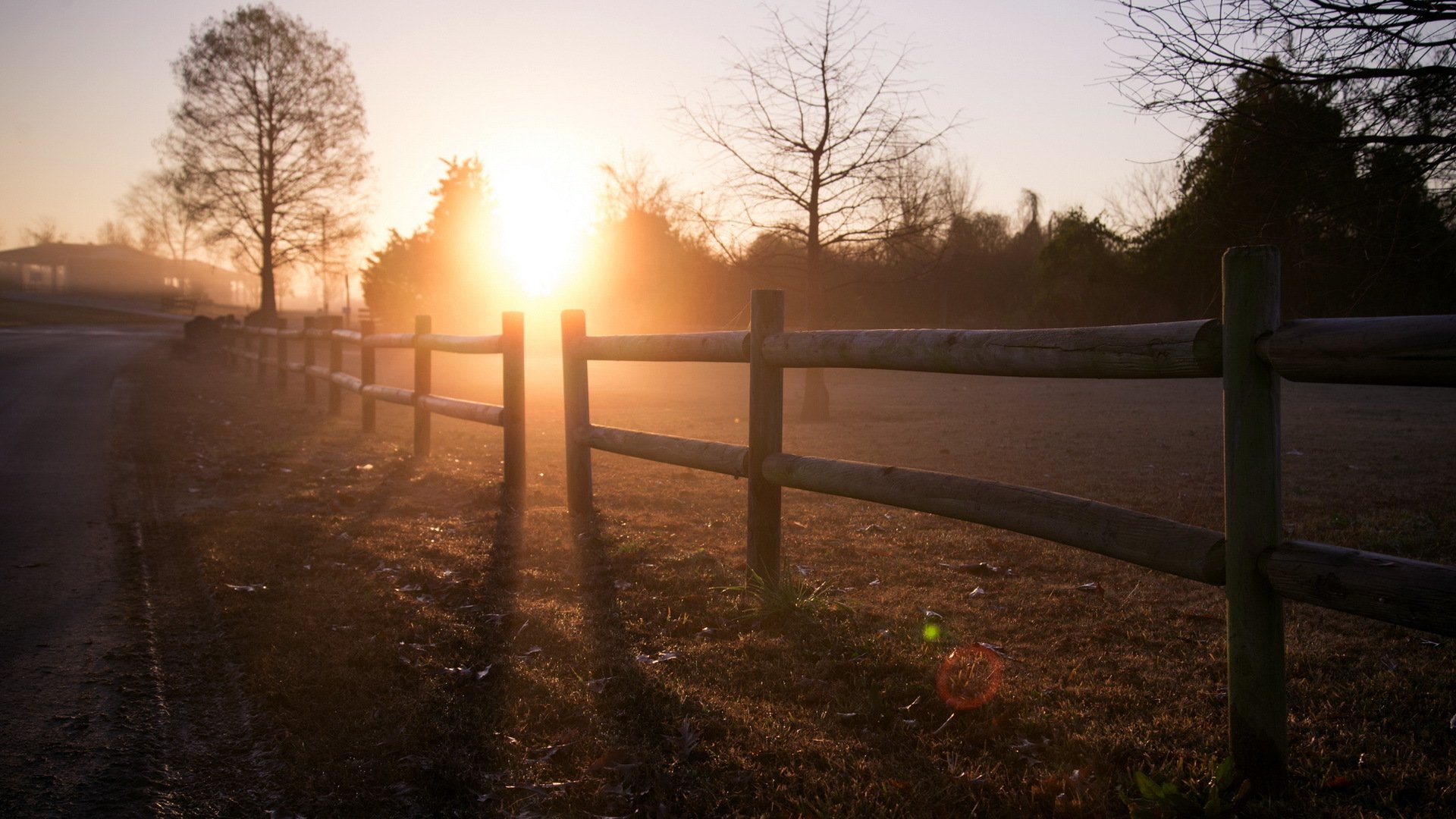 morning fence light