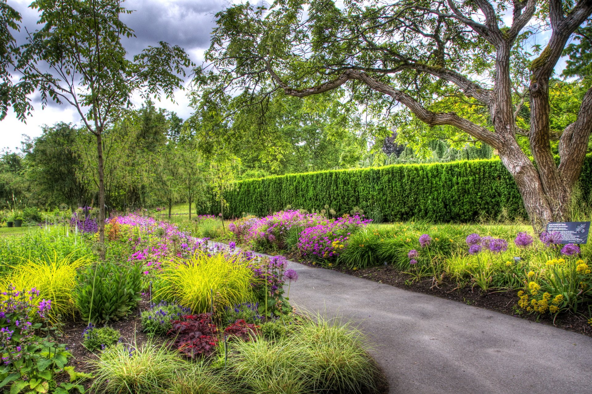ogród botaniczny vandusen vancouver kanada ogród ścieżka drzewa kwietniki kwiaty zieleń