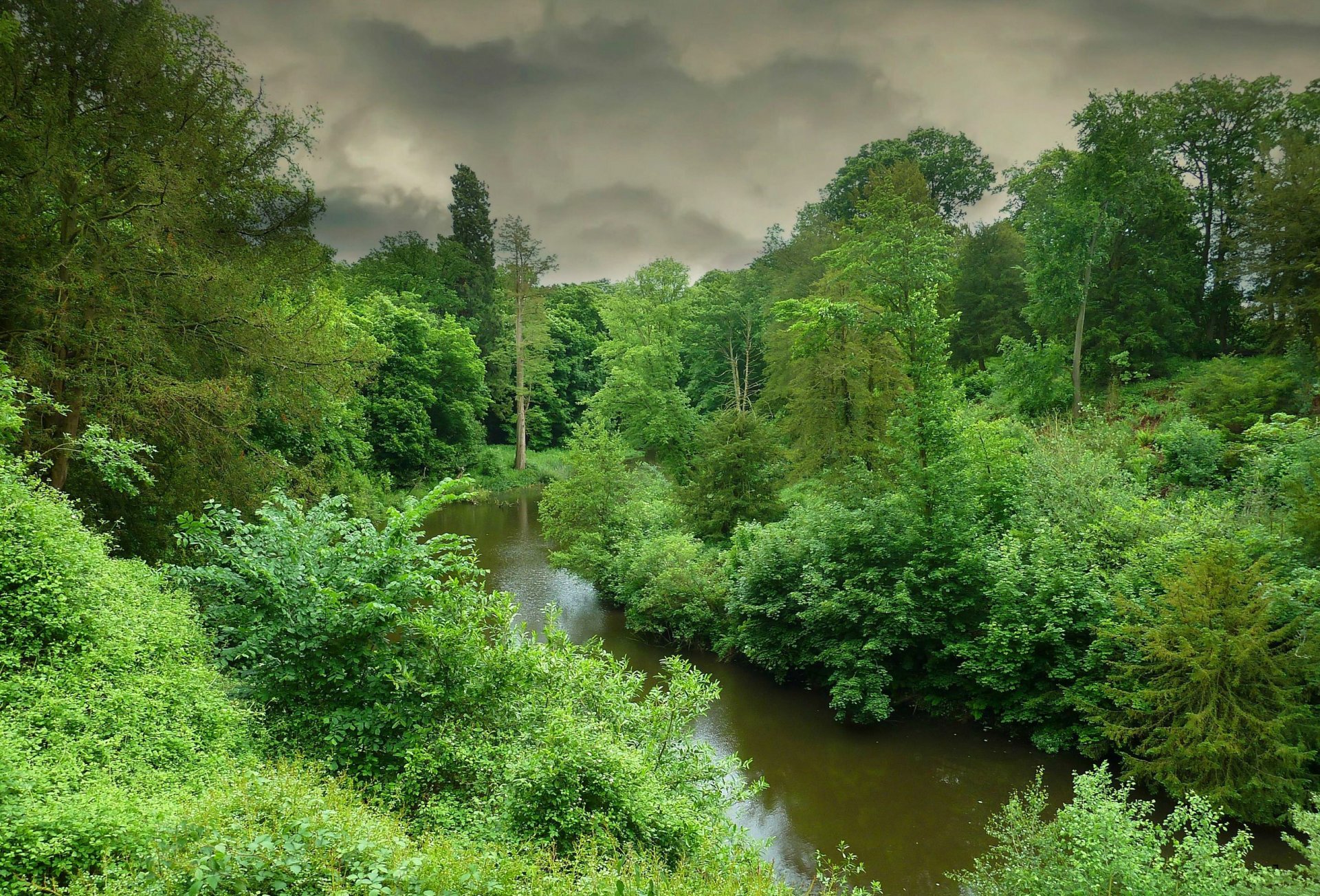 ciel nuages forêt arbres rivière paysage