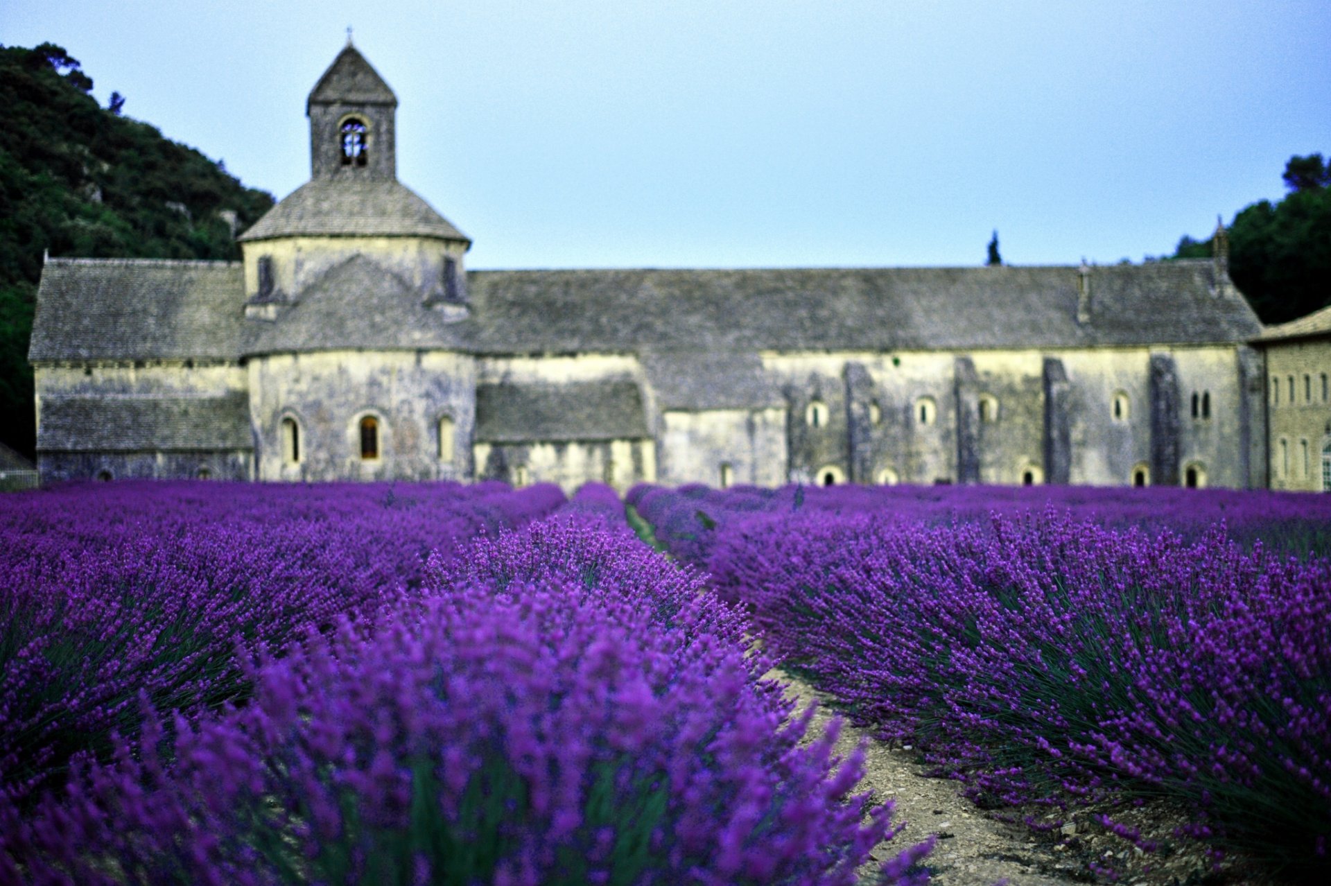 feld lavendel kirche frankreich