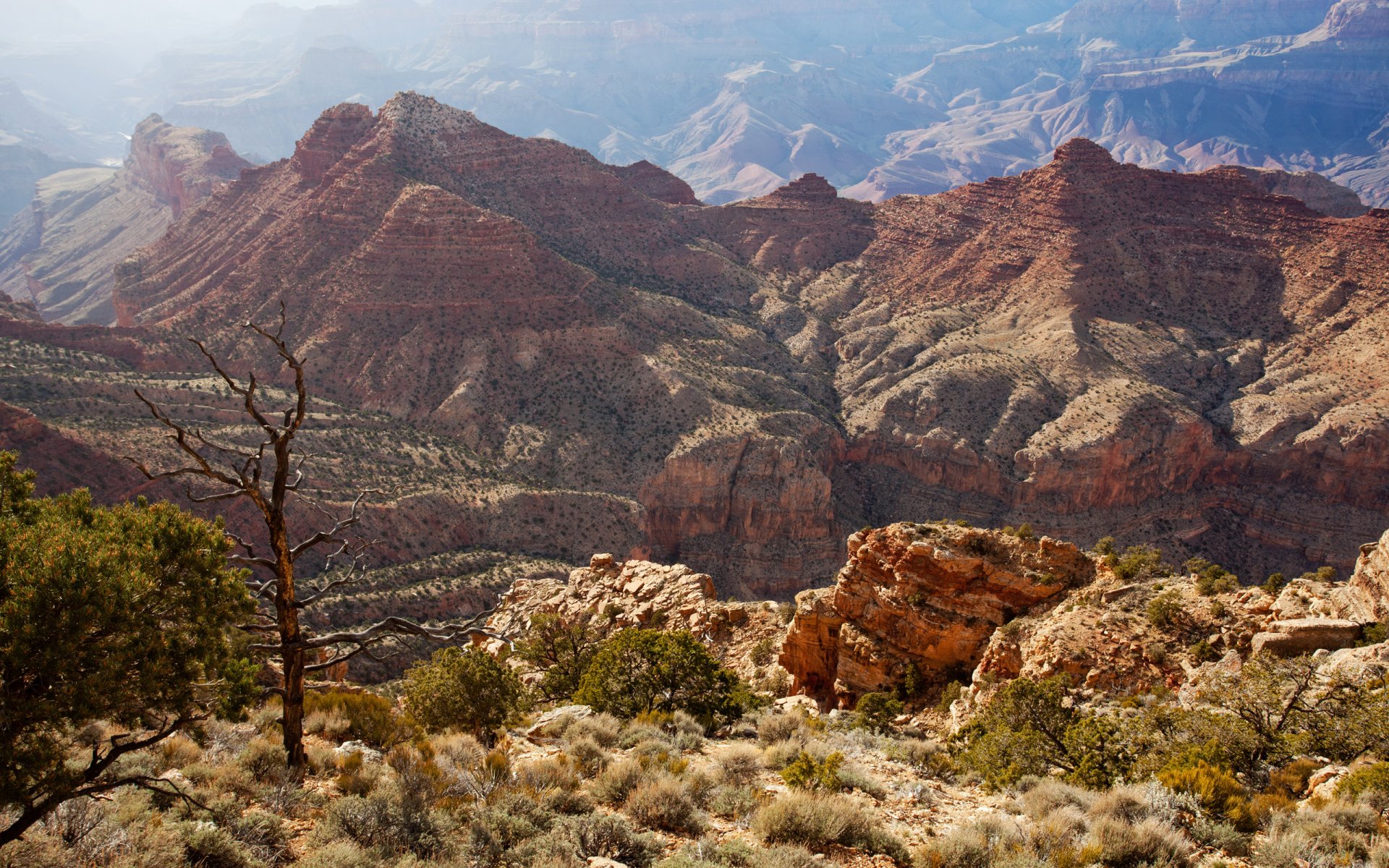 canyon felsen amerika