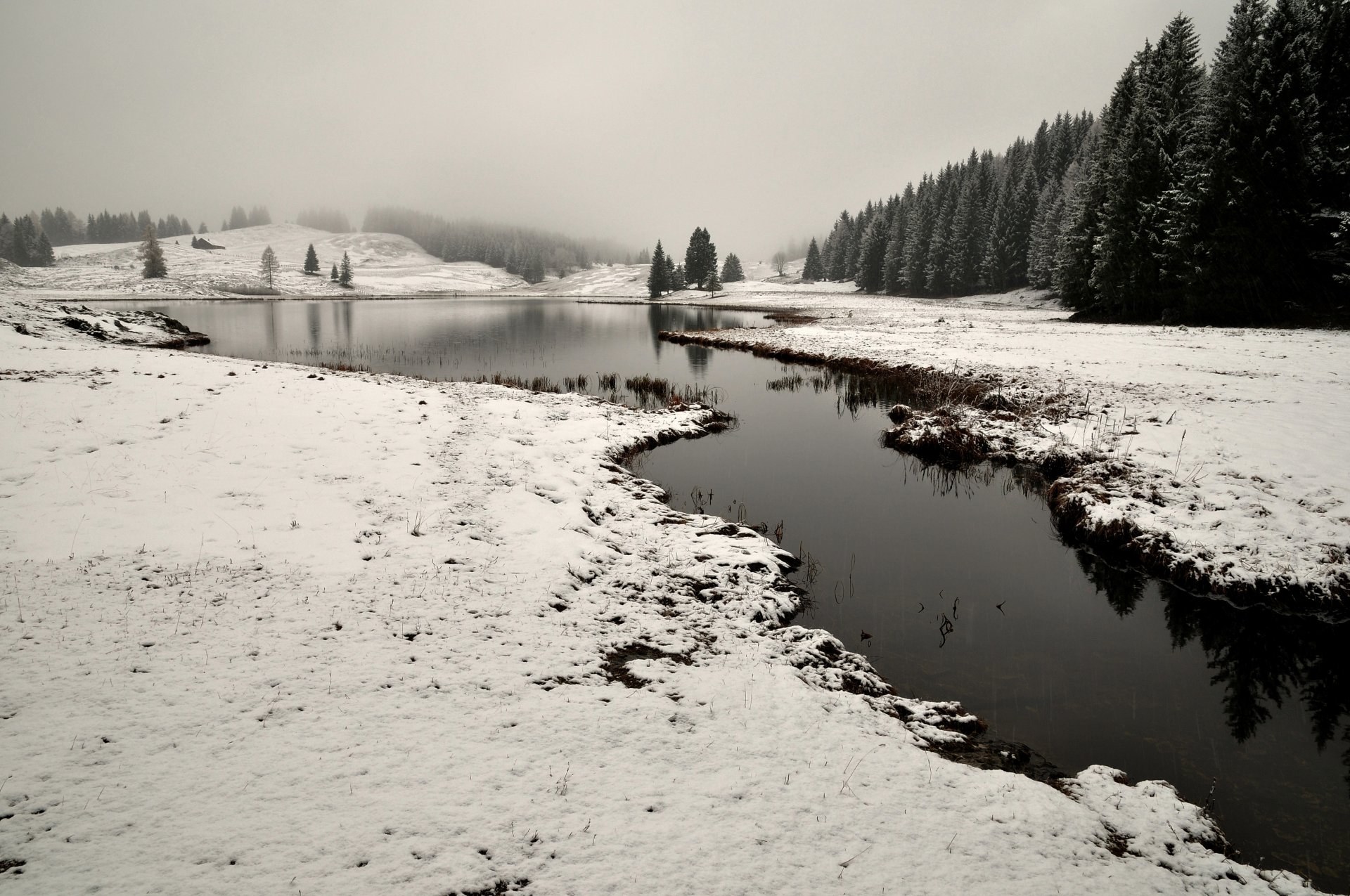 bw paesaggio fiume inverno neve alberi