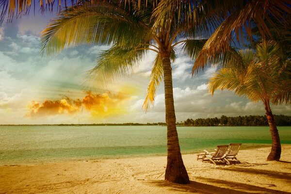 Meer, Palmen und Sand in der tropischen Sonne
