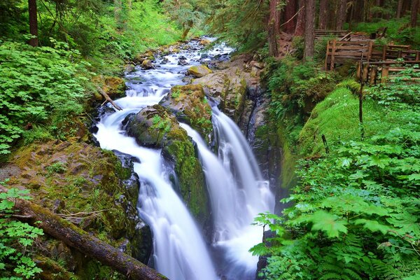 Flujo de cascada en el bosque más a menudo