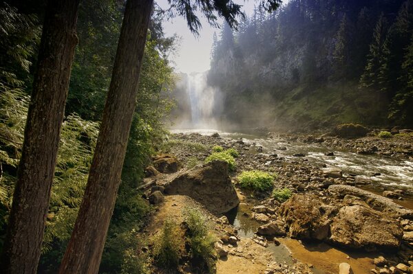 Nile waterfall in the forest among the trees