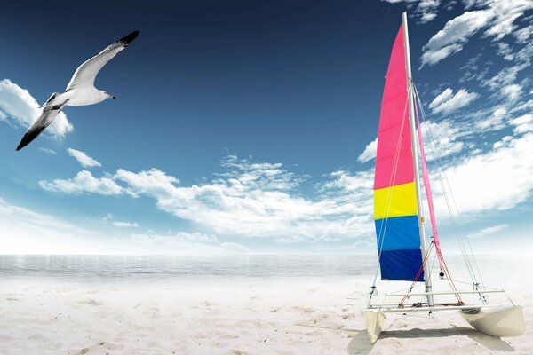 Am Strand gibt es eine Möwe und ein Segel
