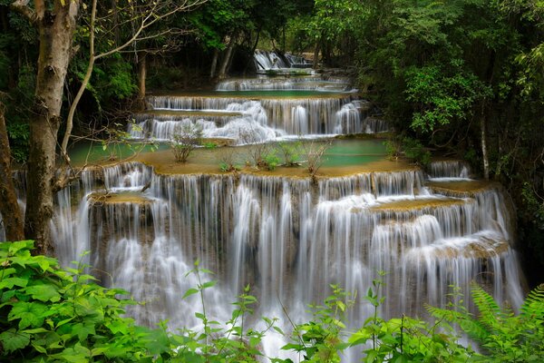 Cascata a cascata nella foresta verde