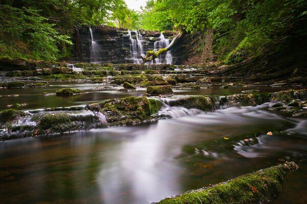 Wasserfall unter den Felsen im Wald