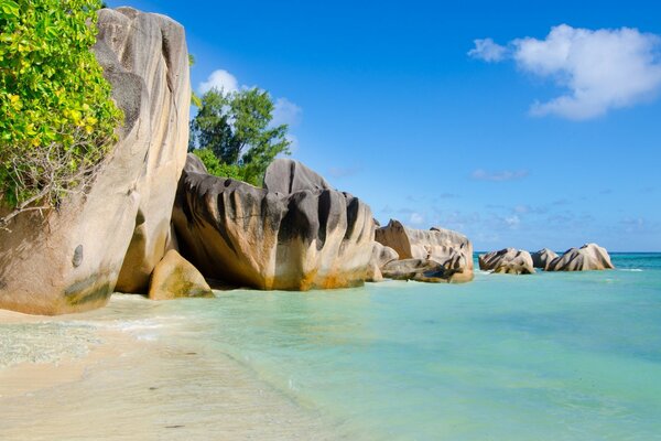 Paesaggio della natura ai tropici