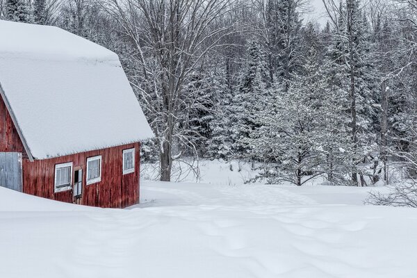 Wooden house in the winter forest