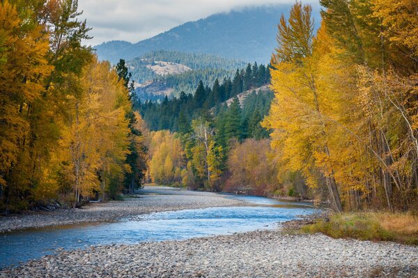 Landscape of mountains and mountain river in autumn