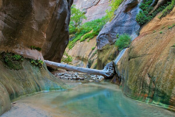 Garganta del acantilado en el parque Nacional