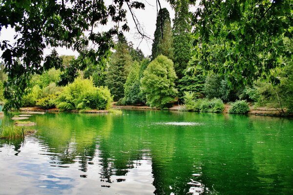 Lago in un parco verde negli Stati Uniti