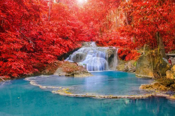Schöner Wasserfall im Wald
